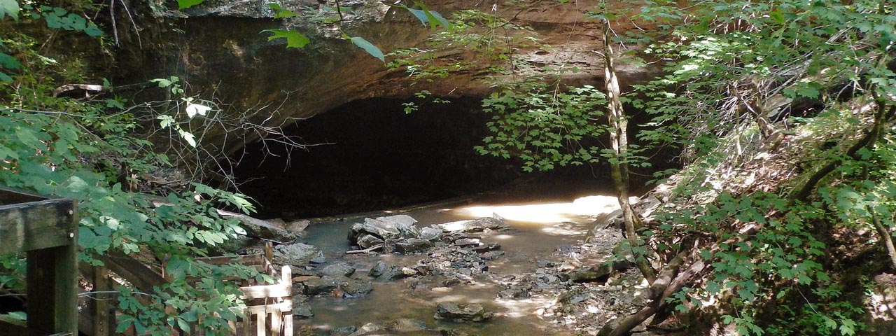 Upper Side of Rock Bridge