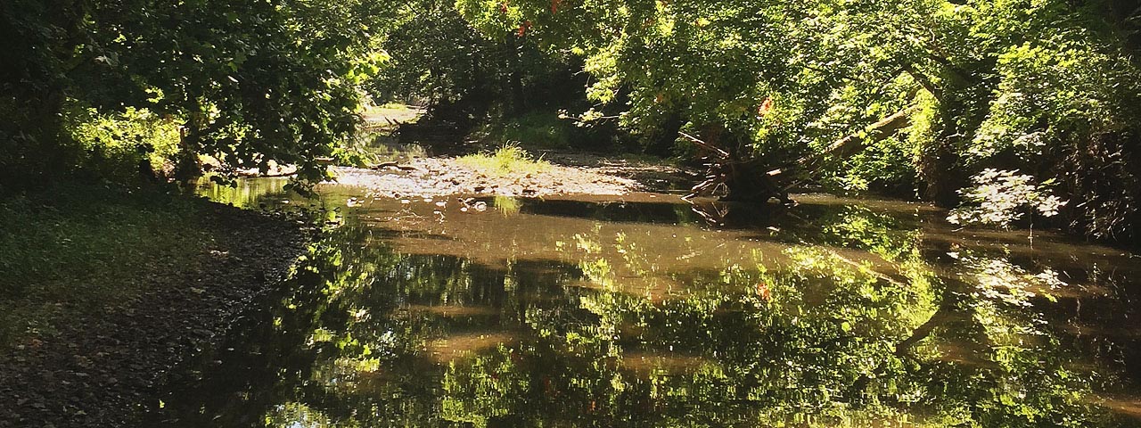 Little Bonne Femme Creek
