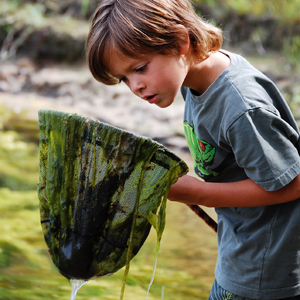Boy looking at algae in his fishing net